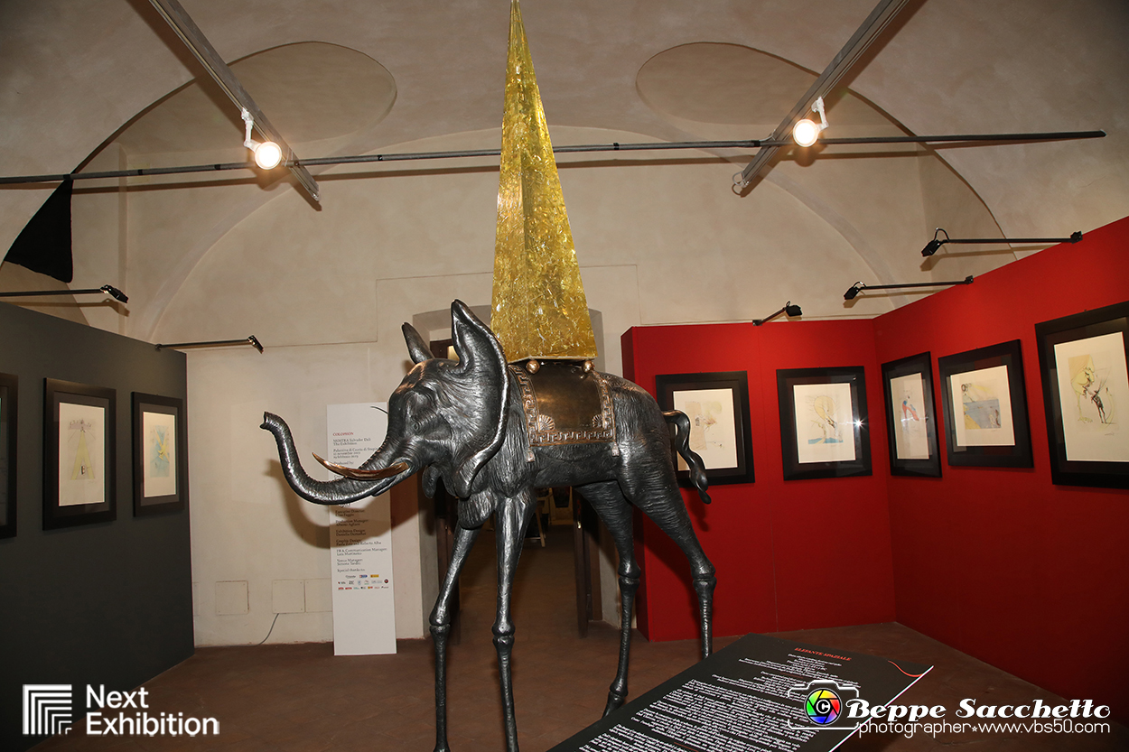 VBS_7782 - Salvador Dalì - The Exhibition.jpg
